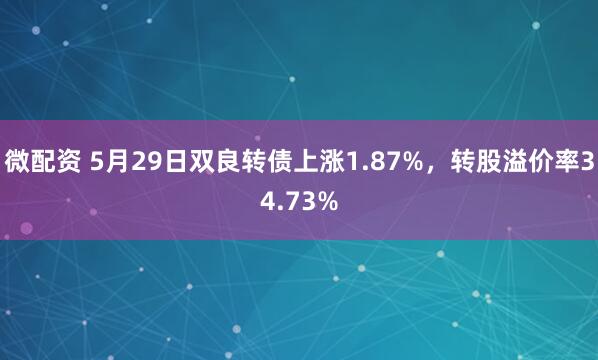 微配资 5月29日双良转债上涨1.87%，转股溢价率34.73%