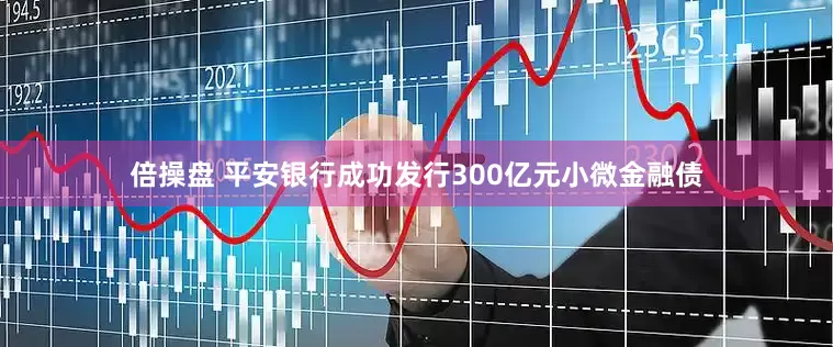 倍操盘 平安银行成功发行300亿元小微金融债