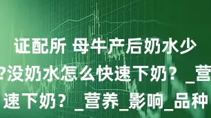 证配所 母牛产后奶水少怎么解决?没奶水怎么快速下奶？_营养_影响_品种