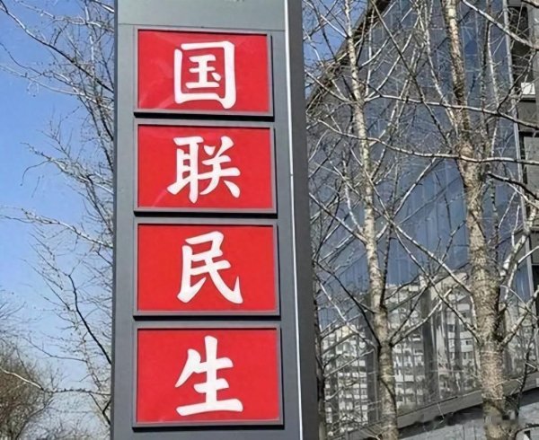 策略通 保荐项目财务造假, 国联民生刚重组完就要赔钱